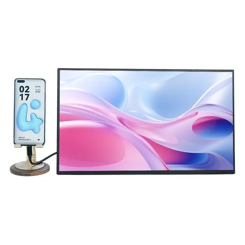 Un monitor portatile da 15,6 pollici è la soluzione di visualizzazione in corso?